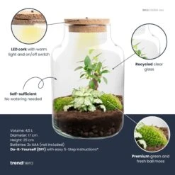 Little Milky - Terrarium With Light - Bottle Garden DIY Kit - Ø 17 Cm ↑ 25 Cm -URBAN INGL Shop little milky white bonsai plant terrarium diy kit info trendhero