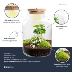Little Milky - Terrarium With Light - Bottle Garden DIY Kit - Ø 17 Cm ↑ 25 Cm -URBAN INGL Shop little milky white coffea plant terrarium diy kit info trendhero