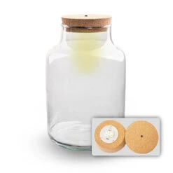 Terrarium Bottle 'Milky' With LED-lighting - Closed Terrarium Ø 21 Cm ↑ 30 Cm -URBAN INGL Shop milky met led verlichting terrarium fles 1