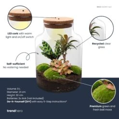 Milky Palm - Terrarium - Bottle Garden DIY Kit - Ø 21 Cm ↑ 30 Cm -URBAN INGL Shop milky palm plant terrarium diy kit info trendhero