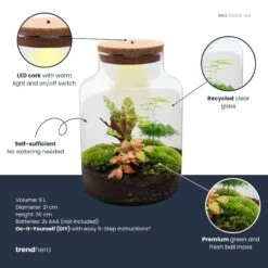 Milky - Terrarium - Bottle Garden DIY Kit - Ø 21 Cm ↑ 30 Cm -URBAN INGL Shop milky plant terrarium diy kit info trendhero