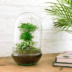 URBAN INGL Shop -URBAN INGL Shop mini ecosysteem met planten in glas 32d09564 651c 4930 8826 0cc2254d734e