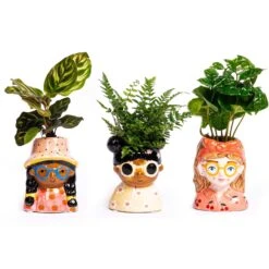 Mini Flower Pot Multi Color – Mini Jill - ↑ 10.2 Cm - Face Head -URBAN INGL Shop mini planten 3stuks gezicht potje
