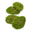 Moss Plate - Green Moss – Set Of 4 - Artificial Moss -URBAN INGL Shop moss plates artificial 4pcs