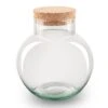 Terrarium Bottle ‘Noah' With Cork - Closed Terrarium Ø 18.5 Cm ↑ 19 Cm -URBAN INGL Shop noah terrarium flaschengarten bottle