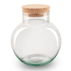 Terrarium Bottle ‘Noah' With Cork - Closed Terrarium Ø 18.5 Cm ↑ 19 Cm