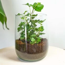 Vase Martin - DIY Kit - ↑ 17 Cm