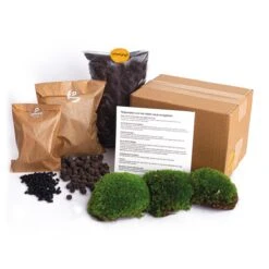 Terrarium Package – Refill & Starter Package – DIY Terrarium Kit – Size L/XL 9 Terrarium Package – Refill & Starter Package – DIY Terrarium Kit – Size L/XL -URBAN INGL Shop plant terrarium package 85277014 0cd1 4800 9e06 d2a2d027014d