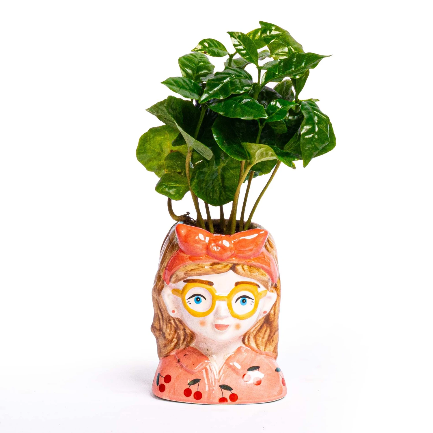 Mini Flower Pot Multi Color - Bobbi - Face Head - 10.5 Cm 3 Mini Flower Pot Multi Color - Bobbi - Face Head - 10.5 Cm