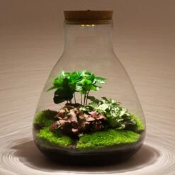 URBAN INGL Shop -URBAN INGL Shop sam planten terrarium met verlichting ecosysteem a988ab27 7e91 4ea2 a512 5c3bea50d5ab 1