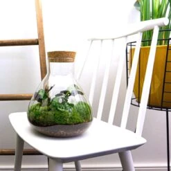 Sammie - Terrarium With Light - Bottle Garden DIY Kit - Ø 22,5 Cm ↑ 27 Cm -URBAN INGL Shop sammie terrarium 349f7c86 007a 4021 bb26 253a2cd21d2a