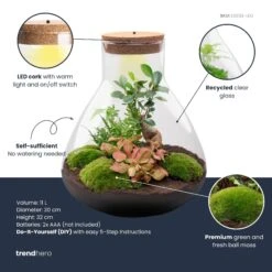 Sam XL Bonsai - Terrarium With Light - Bottle Garden DIY Kit - Ø 30 cm ↑ 32 cm 11 Sam XL Bonsai - Terrarium With Light - Bottle Garden DIY Kit - Ø 30 cm ↑ 32 cm -URBAN INGL Shop samxl bonsai plant terrarium diy kit info trendhero