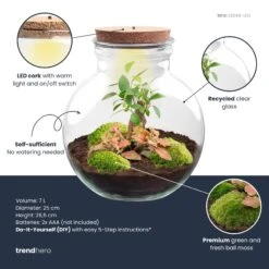 Teddy Bonsai - Terrarium With Light - Bottle Garden DIY Kit - Ø 25 Cm ↑ 26,5 Cm -URBAN INGL Shop teddy bonsai red plant terrarium diy kit info trendhero 291a060f a4bc 4809 b64b 3d20f5523529
