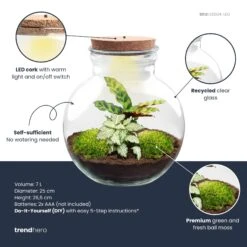 Teddy - Terrarium With Light - Bottle Garden DIY Kit - Ø 25 Cm ↑ 26,5 Cm -URBAN INGL Shop teddy plant terrarium diy kit info trendhero