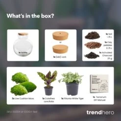 Teddy - Terrarium With Light - Bottle Garden DIY Kit - Ø 25 Cm ↑ 26,5 Cm -URBAN INGL Shop teddy terrarium diy bottle garden