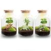 Little Milky - Terrarium With Light - Bottle Garden DIY Kit - Ø 17 Cm ↑ 25 Cm -URBAN INGL Shop terrarium flaschengarten mit lampe little milky