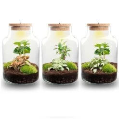 Little Milky - Terrarium With Light - Bottle Garden DIY Kit - Ø 17 Cm ↑ 25 Cm