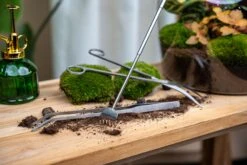 Terrarium Tools Bundle – Black Friday Deal 7 Terrarium Tools Bundle – Black Friday Deal -URBAN INGL Shop terrarium flaschengarten tools werbe gereedschap kits diy 6c948313 9712 4aff a3fc 6aebbade348e
