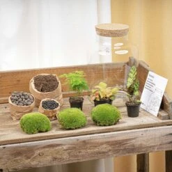 Milky - Terrarium - Bottle Garden DIY Kit - Ø 21 Cm ↑ 30 Cm -URBAN INGL Shop terrarium kit flaschengarten trendhero DSC03692 18931aeb 70a3 47f3 b217 137986468662