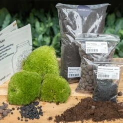 Terrarium Package – Refill & Starter Package – DIY Terrarium Kit – Size L/XL