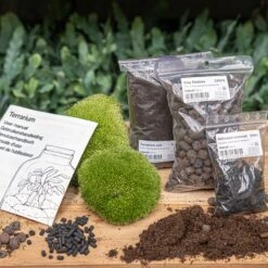 Terrarium Package – Refill & Starter Package – DIY Terrarium Kit – Size S/M 9 Terrarium Package – Refill & Starter Package – DIY Terrarium Kit – Size S/M -URBAN INGL Shop terrarium package refill starter kit