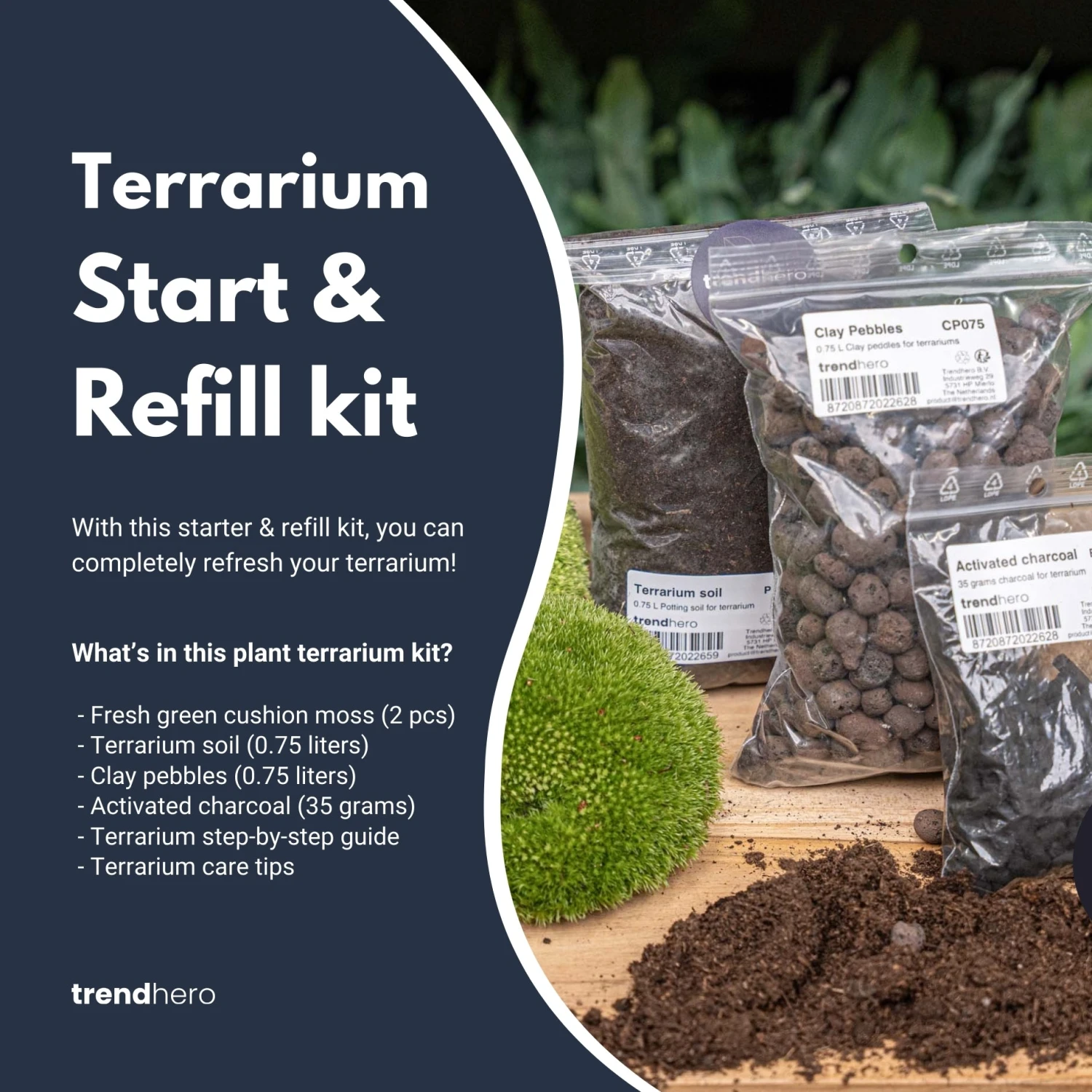 Terrarium Package – Refill & Starter Package – DIY Terrarium Kit – Size S/M 3 Terrarium Package – Refill & Starter Package – DIY Terrarium Kit – Size S/M