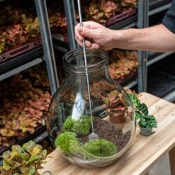 Terrarium Tool - Rake - 16-49 Cm - Telescopic - Stainless Steel 10 Terrarium Tool - Rake - 16-49 Cm - Telescopic - Stainless Steel -URBAN INGL Shop terrarium tool telescopic