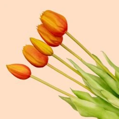 Tulip Bouquet – 5 Pieces – Various Colours – ‘Real Touch’ Artificial Tulips – 42 Cm -URBAN INGL Shop tulpen boeket oranje 5 pcs web 97449bc9 5148 458a b966 cfd1717a1ec4