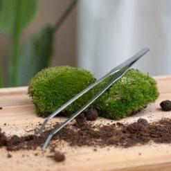 ESSCHERT DESIGN Extra Long Terrarium Tweezer - 26 Cm - Stainless Steel