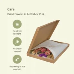 Dried Flowers In Letterbox Pink - Dried Bouquet - 35cm - Ø10 -URBAN INGL Shop unnamed 8fc1de49 1a9f 4282 be90 365a28773455